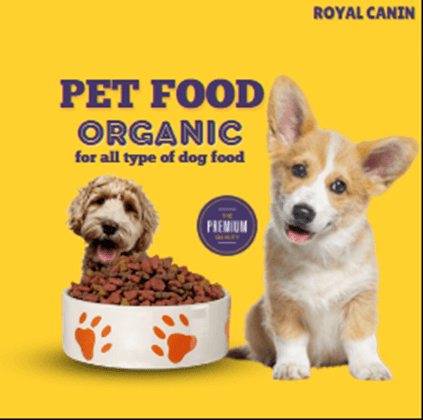 Read more about the article Top 5 Products of Royal Canin Dry Dog Food in 2023