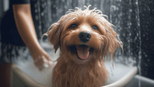Read more about the article Review on BEST DOG ALLERGY SHAMPOO in 2024