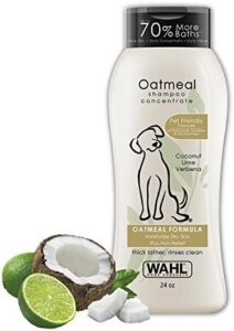 Read more about the article BEST DOG SHAMPOO FOR ITCHY SKIN