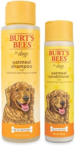 Burt’s bee oatmeal conditioner with colloidal oat flour & honey